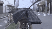 チャリめくり1　〜自転車に乗りながらスカートをめくられる娘たち