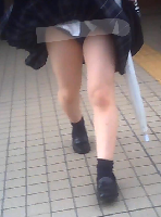 風のいたずら3