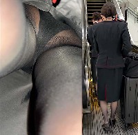 【再販】【期間限定再販P22】CAさんパンチラ