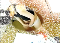 就職前研修の女子大生の生着替えを監視！