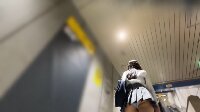 関東/某駅鳥 #11