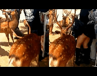 知りあいを撮っちゃった Vol.12