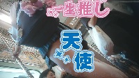 青　再販なのです　お盆なので
