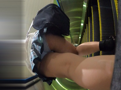 贅沢な景色にちんが喜ぶ