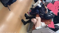 しっかりいただきます　ぺろぺろ